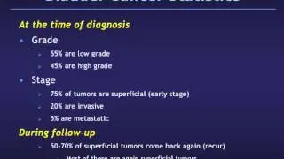 Superficial Bladder Cancer