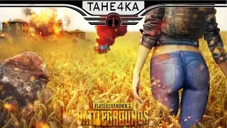 💕За грандмастером лапками)💕 PLAYERUNKNOWN'S BATTLEGROUNDS. 💕