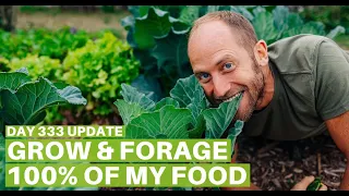 Growing and Foraging 100% of My Food - Day 333 Update