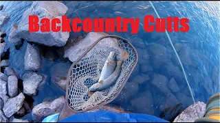 Fall backpacking/fly fishing in the High Uintas for chunky Cutthroat -- part 1