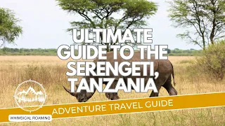 The Ultimate Safari Guide to the Serengeti National Park, Tanzania