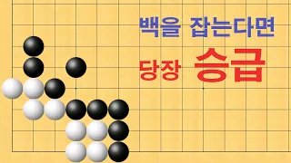 바둑 묘수 사활 - 백을 잡는다면 당장 승급입니다.