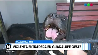 Perros salvaron a sus dueños en un violento robo a una vivienda de barrio Guadalupe Norte