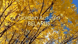 Golden autumn in Belarus / Beautiful fall in Belarus