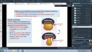 3rd week of pregnancy - embryonic folding - Dr.Ahmed Farid