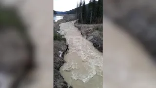 За месяц до ЧП в Щетинкино жители били тревогу о состоянии рек