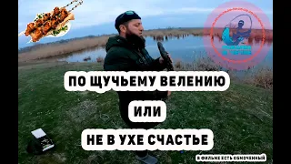 Мясо ели? - ели! Рыбу показали? - показали!