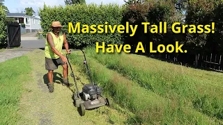 Massively Tall Grass  Have A Look