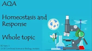 The whole of AQA HOMEOSTASIS and RESPONSE. 9-1 GCSE biology or combined science revision for paper 2