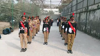 Republic day saluting of ncc senior #trending #viral #youtubeshorts #shortsfeed #shorts #short