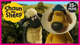 Get Well Soon, Bitzer! 😷 Shaun the Sheep Full Episodes 🐑 Cartoons for Kids