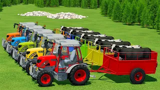 TRANSPORTING COWS WITH RIGI TRAC MINI TRACTORS AND DAF TRUCK - Farming Simulator 22