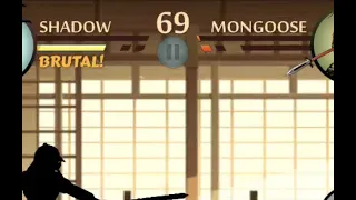 all your pain in shadow fight 2