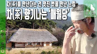 보련산 자락 자연 속에 억새를 엮어 ‘매월당’이라는 집을 짓고 김시습의 차 정신을 실천하며 사는 한 남자 | 자연의 철학자들 53부 오늘 맑고 향기롭게 (KBS 230421 방송)