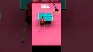 Men vs Women - Liu Shiwen vs Ma Long