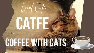 CAT CAFE in VANCOUVER 🐈