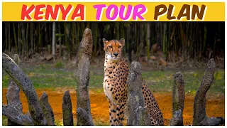 Kenya Tour Plan With Booking Links | Kenya Tour  | Kenya Travel Guide