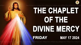 Chaplet of the Divine Mercy I Friday May 17 2024 I Divine Mercy Prayer I 12.00 PM