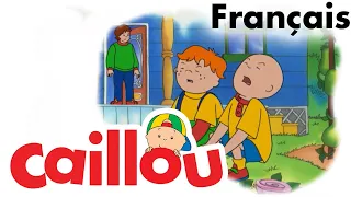 Un nouveau membre dans la famille | Caillou | WildBrain pour les enfants