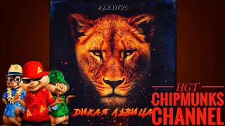 Alex & Rus - Дикая львица - HGT Chipmunks Channel