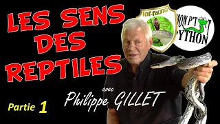 Les SENS chez les SERPENTS avec PHILIPPE GILLET (Partie 1)