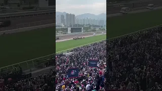 😳 Could you imagine being here?! Crowd vibes at #HKIR when WIN MARILYN  rolls home in the HK Vase!