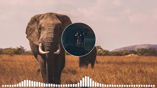 Epic African Cinematic Ethnic [No Copyright Music]