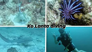 The big shark search. Ko Lanta Thailand diving.