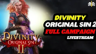 Shall we become DIVINE? | Divinity Original Sin 2