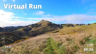 Virtual Run | Virtual Running Videos For Treadmill Workout Scenery | 1 Hour Future Forest Loop