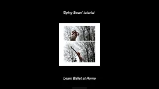 Learn the 'Dying Swan' Ballet at Home + Bonus Q&A