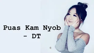 Puas Kam Nyob - DT mix |OFFICIAL AUDIO| New Hmong song 2024