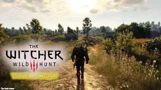 Relaxing Walk in White Orchard - Music & Ambience - The Witcher 3 Wild Hunt