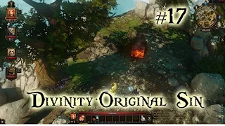 Divinity: Original Sin Кооператив [#17 Вход]