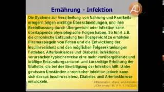 Winfried Küsel, 04. Süßes Leben mit schweren Folgen?, Ernährung, amazing discoveries e.V.