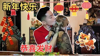 [2024 龙年，恭喜发财，新年快乐，万事如意] 招财猫咪和向你拜年！在家里吃饭谈天，Ngam Ngam Cham Cham 的一集。Happy Chinese New Year! [ENG SUB]