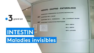 Journée mondiale des maladies inflammatoires chroniques de l'intestin