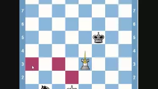 Chess Endgame- Rook vs Knight