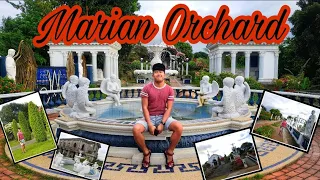 Marian Orchard : A quick escape | Balete, Batangas | Iteneraries