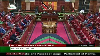 NATIONAL ASSEMBLY PROCEEDINGS,  17TH NOVEMBER 2020