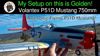 My Setup on this Warbird is Golden! Test Session #3 - Volantex 768-1 P51D Mustang 750mm Wingspan PNF