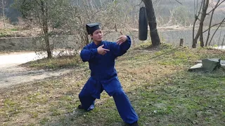 Wudang Master Tang Li Long - become the free dragon