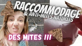 Comment raccommoder à la main un trou de mite ? Anti-mites naturels