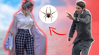 🕷 Fake Spider Prank🕷😱 FUNNY REACTIONS 😱