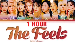 [1 HOUR] TWICE The Feels Lyrics (트와이스 The Feels 가사) [Color Coded Lyrics/Eng]