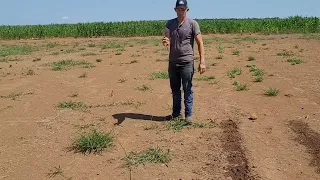 Making a Garden in Colombia