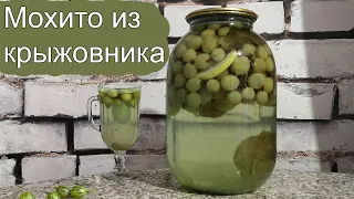 Мохито из крыжовника на зиму