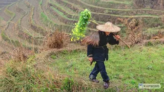 The Chinese Farmer - Alan Watts