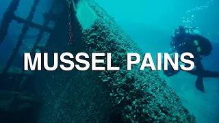 Mussel Pains - Great Lakes Now Full Episode - 1023