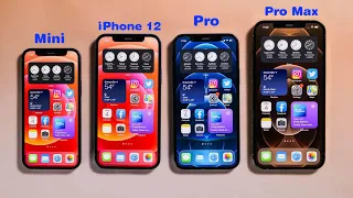 iPhone 12 vs iPhone 12 Mini vs iPhone 12 Pro vs iPhone 12 Pro Max !